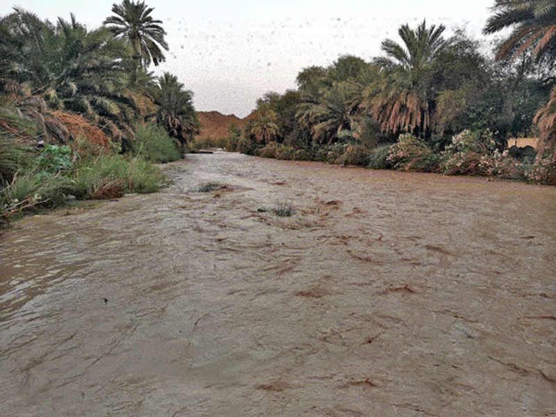 Rains reported across several governorates | Muscat Daily| Oman News ...