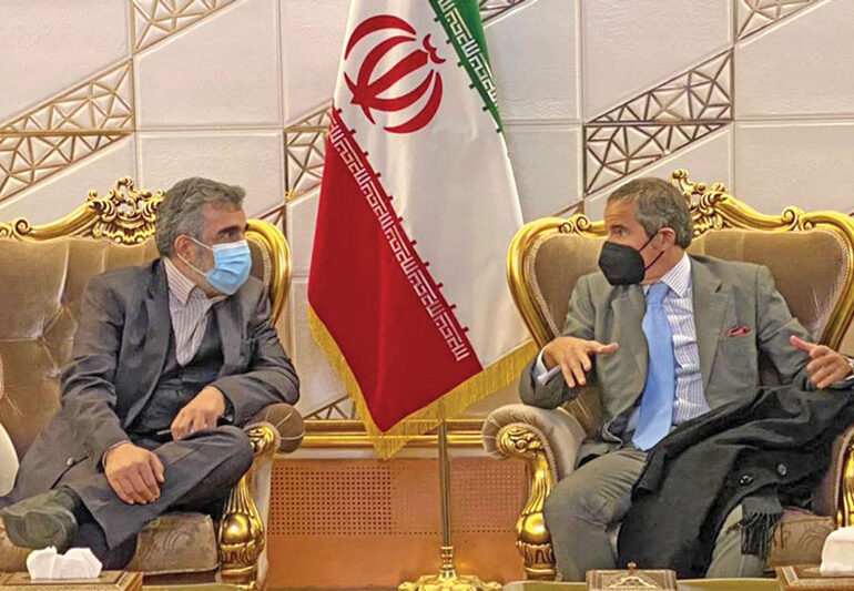 IAEA chief IAEA chief