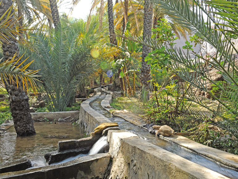 Modern integrated project for irrigation in Buraimi MAFWR
