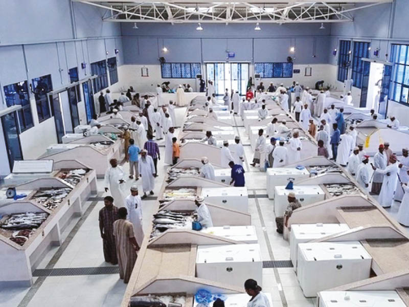 Oman's fish production fell 21.9% in 2022