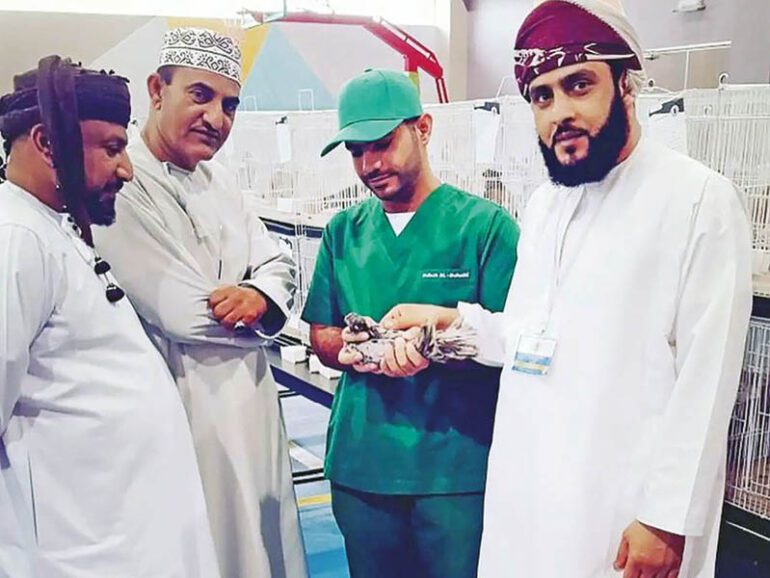 Omani specialist wins 'best vet in GCC' award