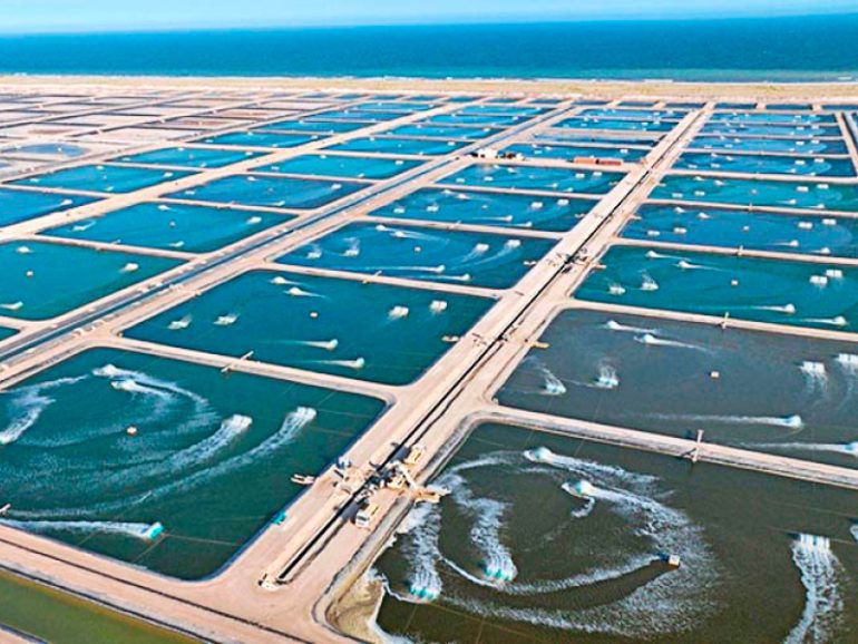MAFWR takes up five aquaculture projects