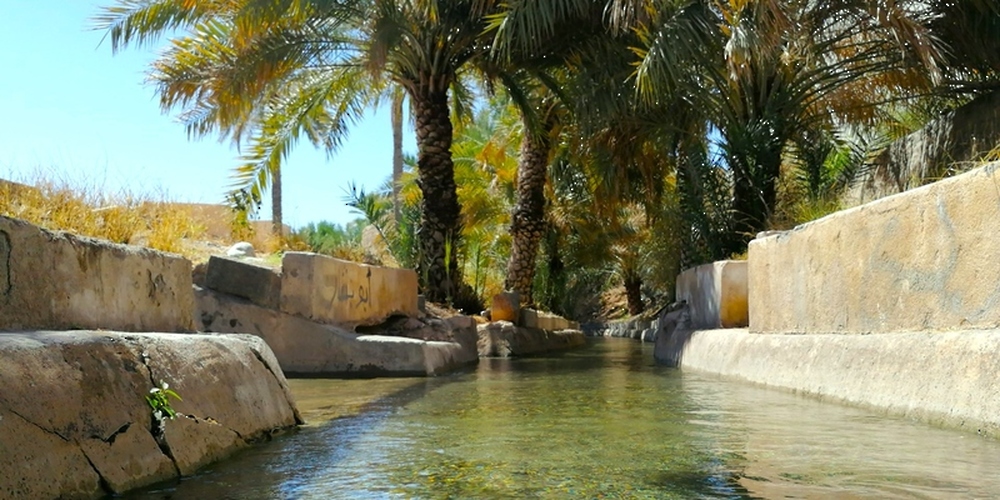 UNESCO Chair promotes Oman's falaj system
