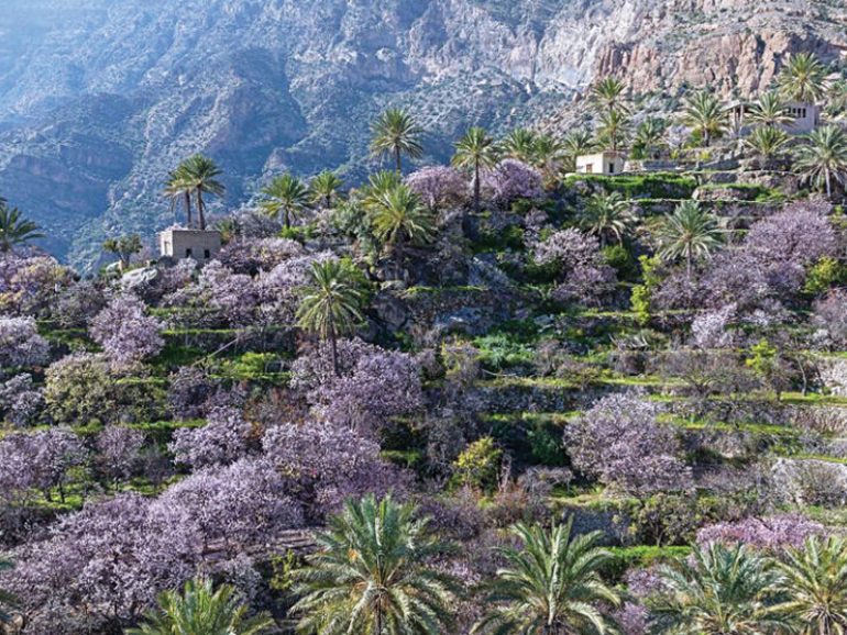 Wakan Village to get cable car, new road