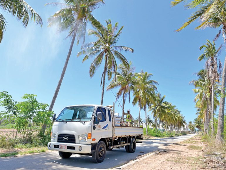 MAFWR launches campaign to curb coconut palm infestation in Dhofar