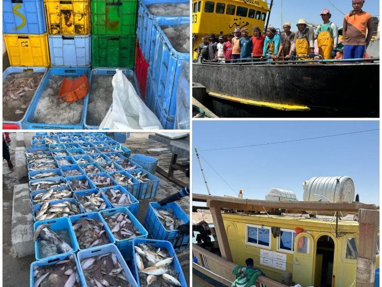 Four expats arrested for illegal fishing in Al Wusta