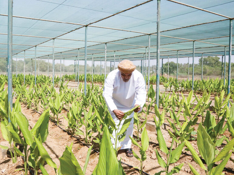 Khareef boosts demand for agri, fish products in Dhofar