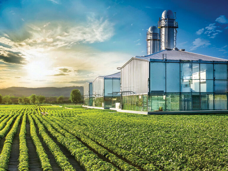 Three Agricultural Cities to boost Oman’s food security