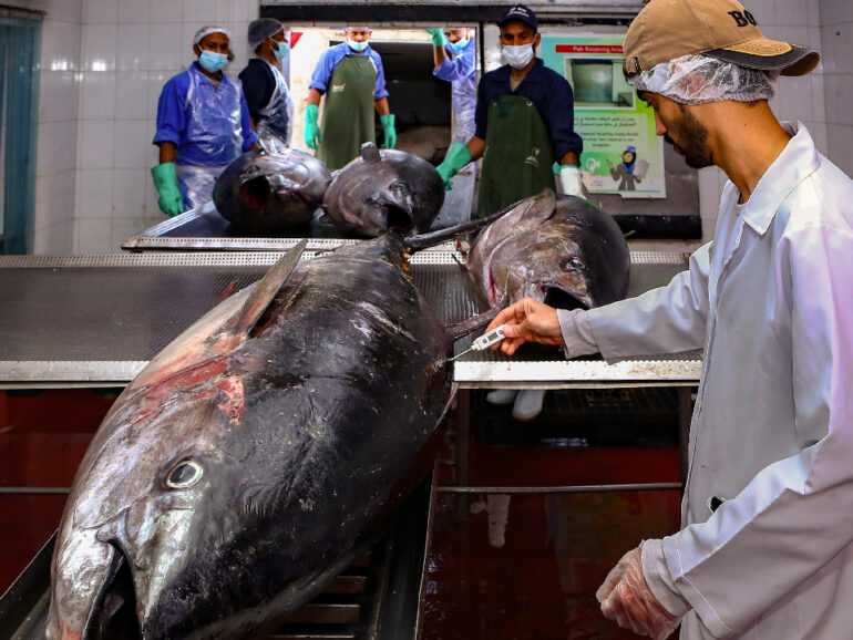Expanding fisheries sector boosts Oman’s food security