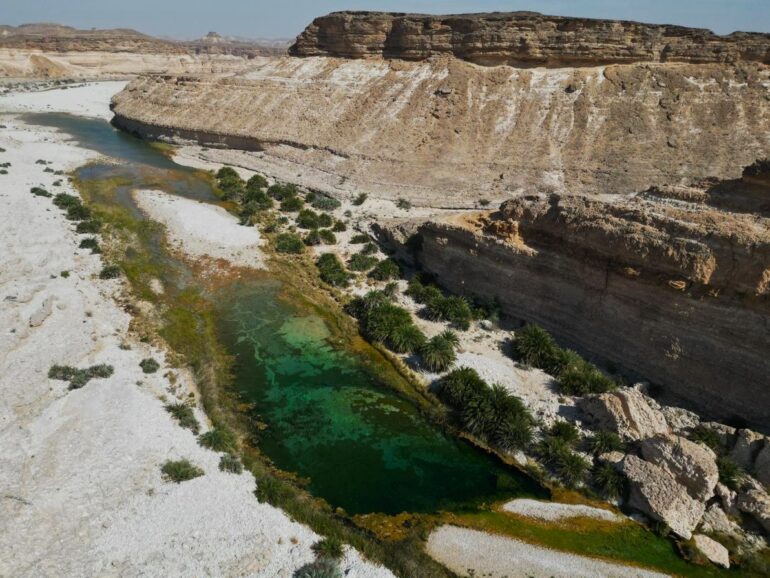 EA tracks rare wildlife, plant species in Jabal Samhan reserve in Dhofar