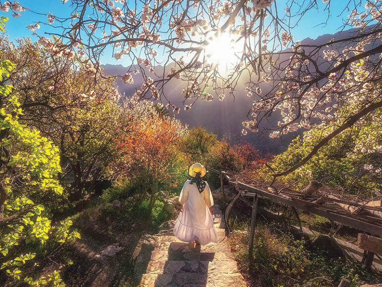 Surge in Oman's domestic tourism with 12.9mn visitors