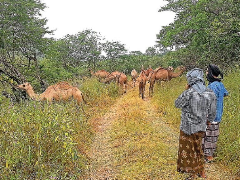 EA initiative to improve livelihoods of 455,000 in Dhofar