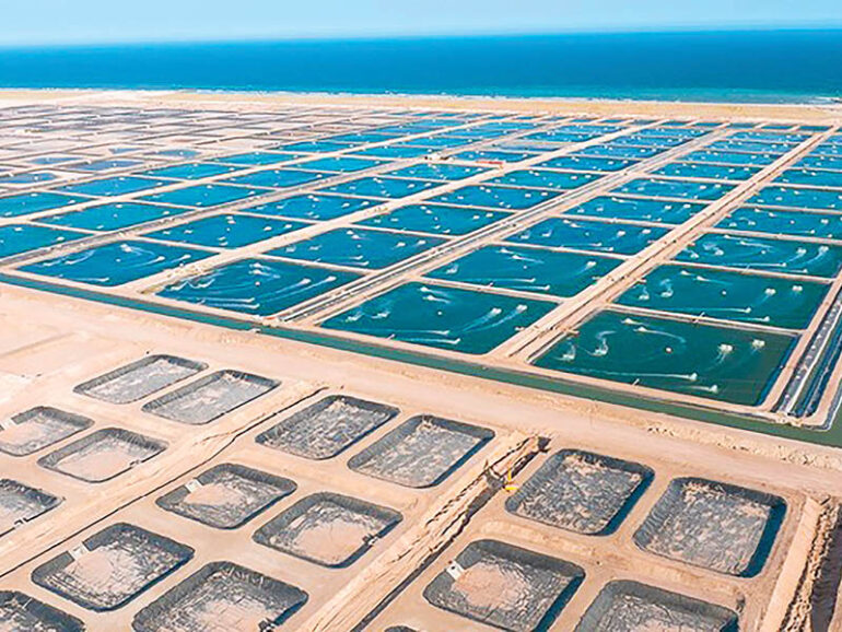 FAO’s portfolio in Oman grows 83% to $4.27mn