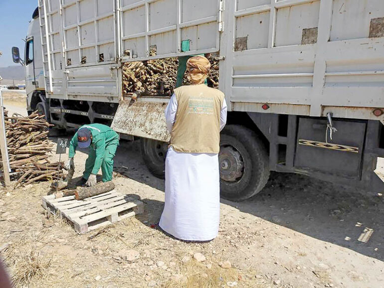 Crackdown on illegal logging in Dhofar; 3t of firewood seized