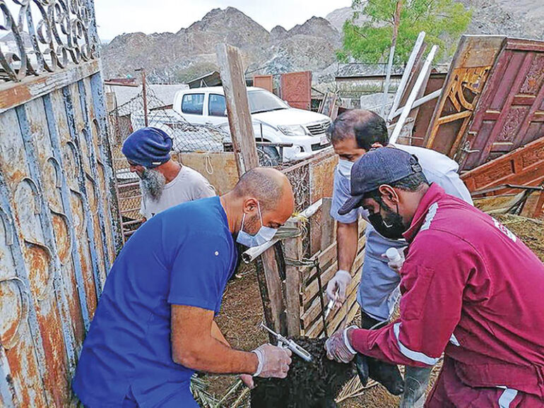MoH urges caution against zoonotic disease CCHF during Ramadan
