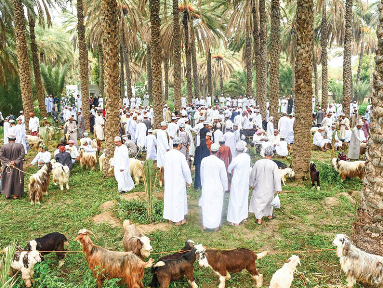 MoSD launches Oman Livestock Society