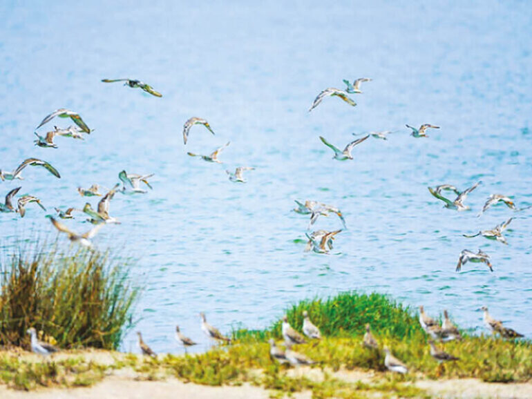 New ecotourism projects planned in four Dhofar nature reserves