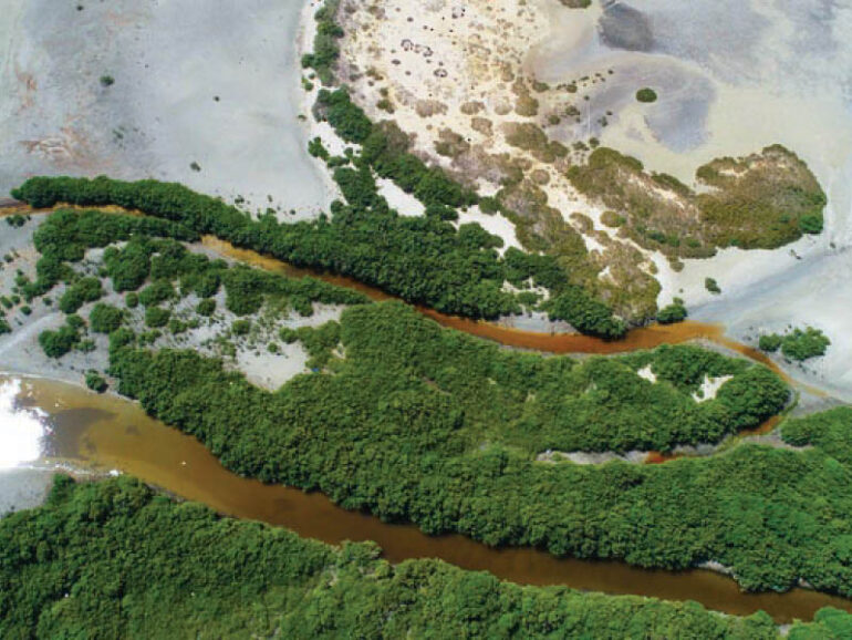 Al Wusta Wetlands Reserve gets Ramsar certification