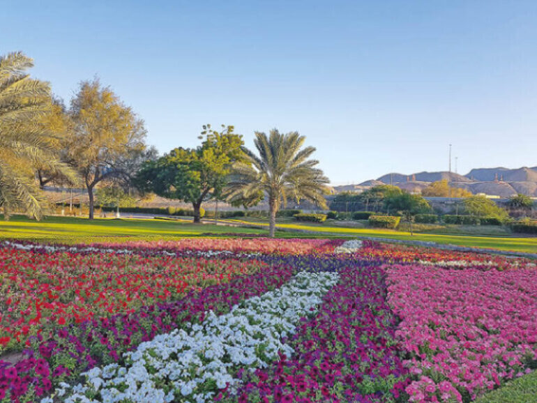 Muscat Municipality invites Investments in logistics and recreation projects