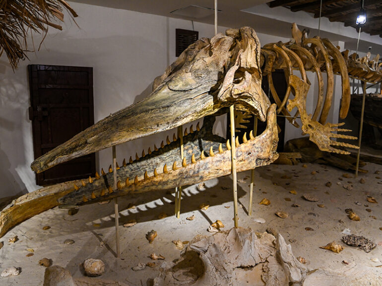 Dhofar’s history, culture come alive at newly opened museum in Salalah