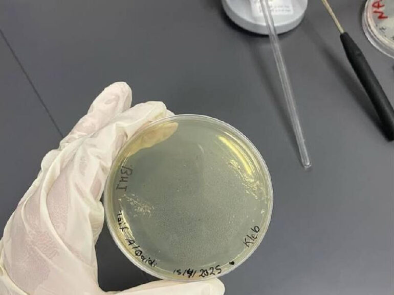 Cancer treatment Omani student recognised for innovative cancer treatment project
