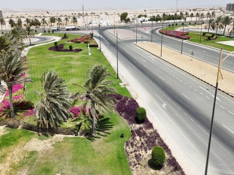 SEZAD plants over 11,800 trees in Duqm to boost green spaces