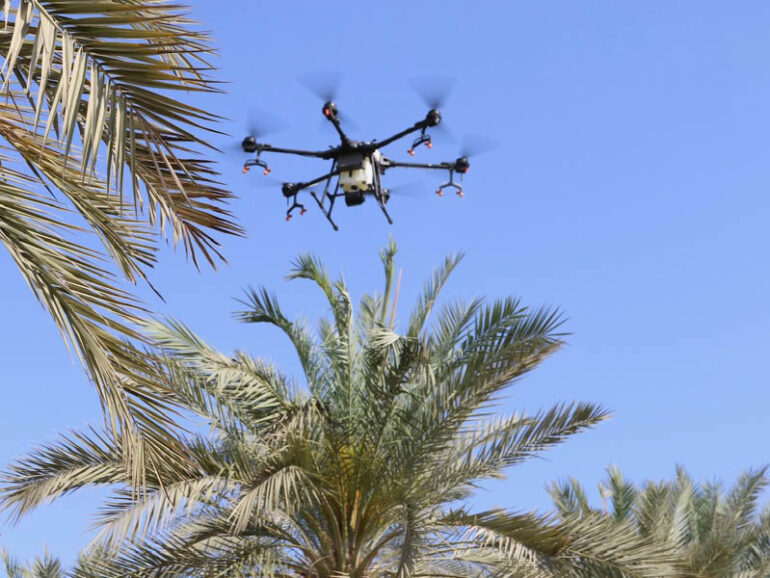 Drones, smart irrigation spearhead Oman's agricultural push