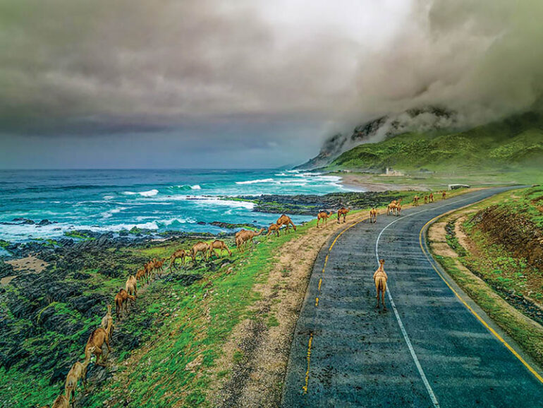 Oman launches road safety campaign for khareef visitors