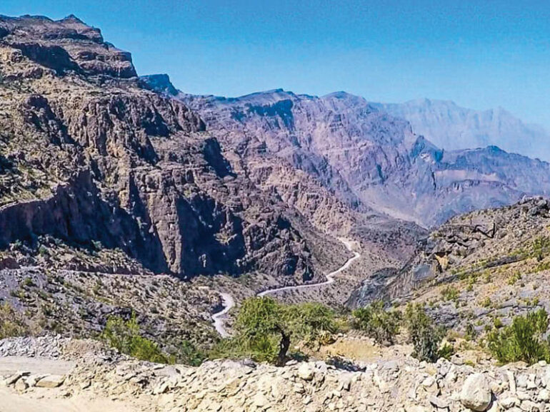 EA launches national plan to document rare plants in Eastern Hajar