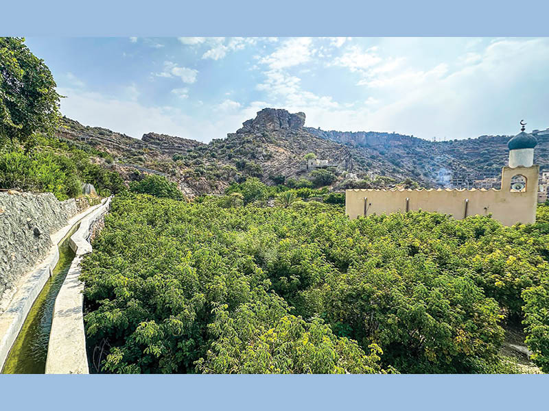 Al Ain village offers glimpse into Oman’s living heritage