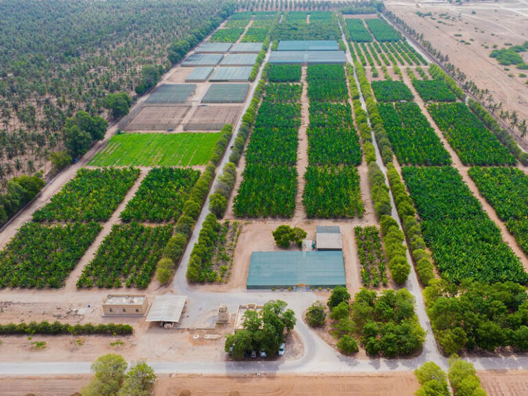 Salalah Royal Razat Farm opens to public