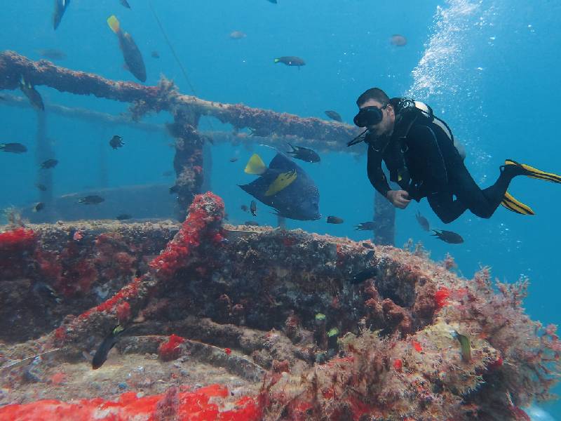Oman’s Musandam to hold diving festival
