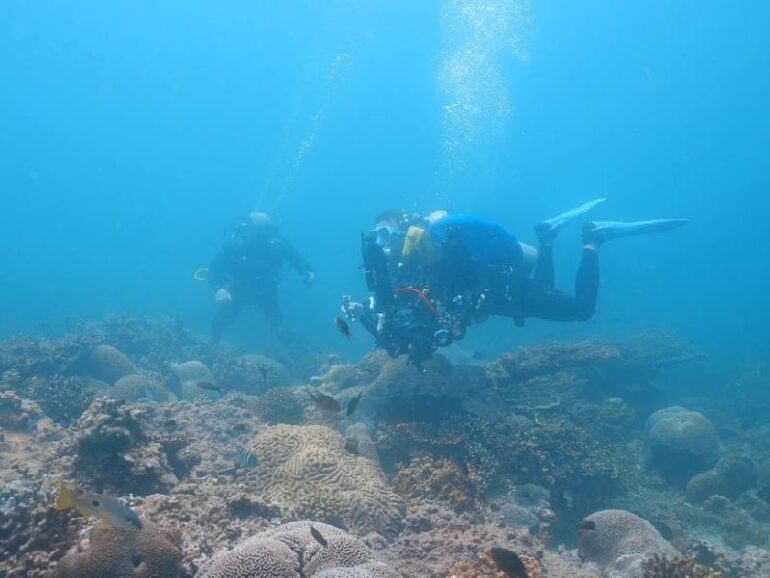 Musandam dive centre earns PADI five-star status