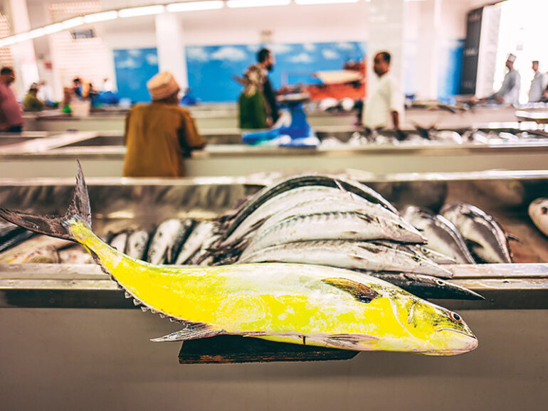 Municipality floats tenders for Seeb fish market and Mabelah