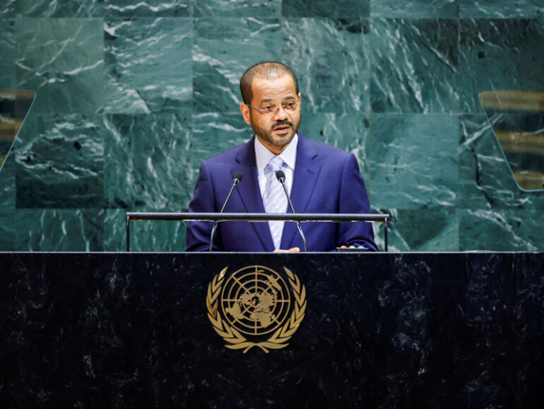 Two-state solution only path to peace: Sayyid Badr