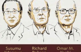 Metal–organic frameworks earn Chemistry Nobel for Kitagawa, Robson & Yaghi
