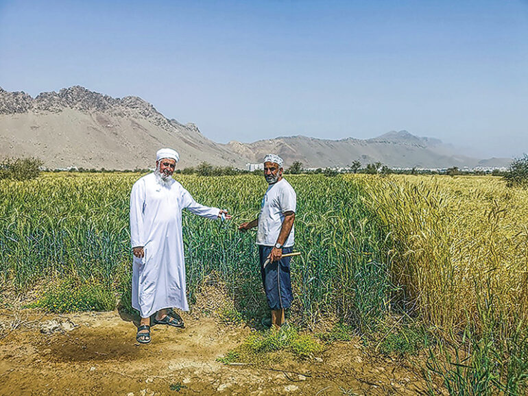 Oman develops new roadmap to strengthen food security
