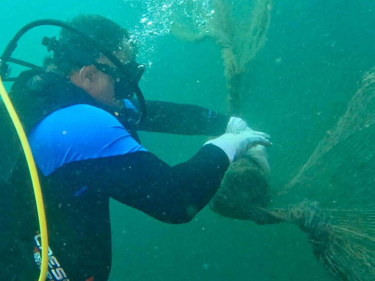 Quriyat divers remove 150kg of nets from Ras Abu Dawood