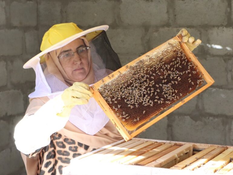 Rural beekeeper in Dhank turns passion into growing enterprise