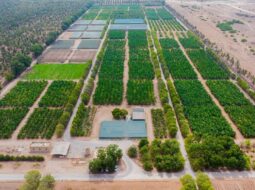 Five years in, Oman Vision 2040 surpasses 100 projects