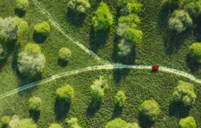 Two World Cups for Oman at FIAP Youth Biennial