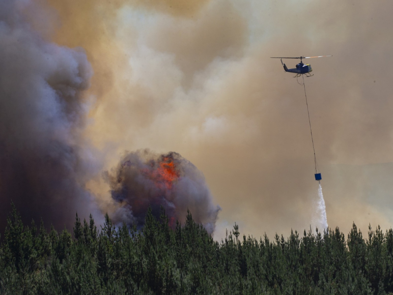 Wildfire escalates in Tongariro national park in New Zealand