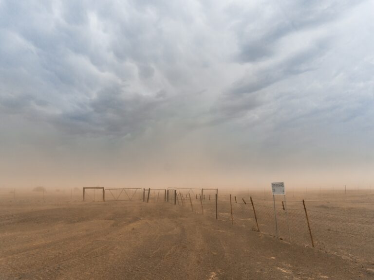 Moderate dust storm to hit Oman’s Coast till midday tomorrow