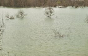 Heavy rain to hit 5 governorates for Two Days