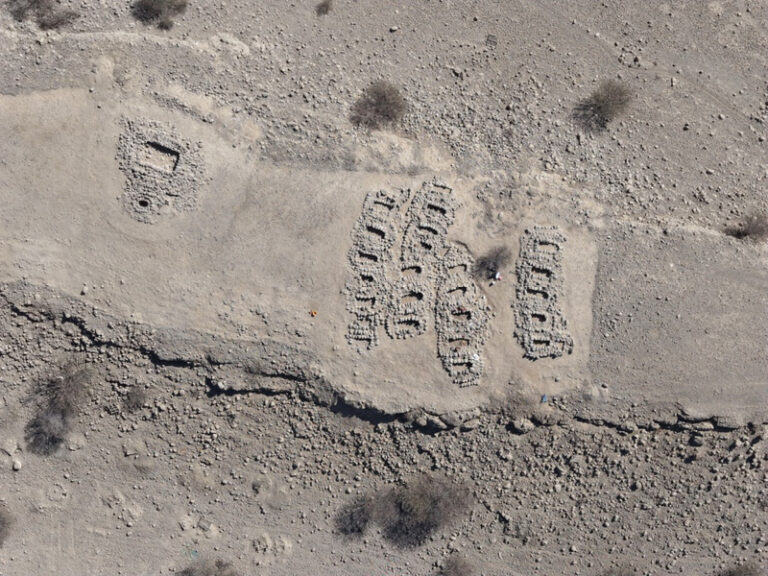 MHT launches 2025–26 archaeological season