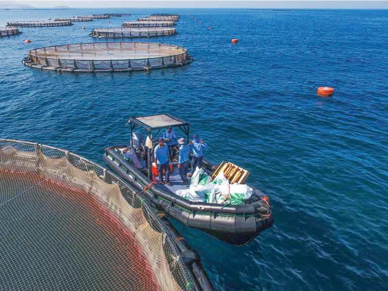 22 fisheries, agri investment projects to boost Oman food security