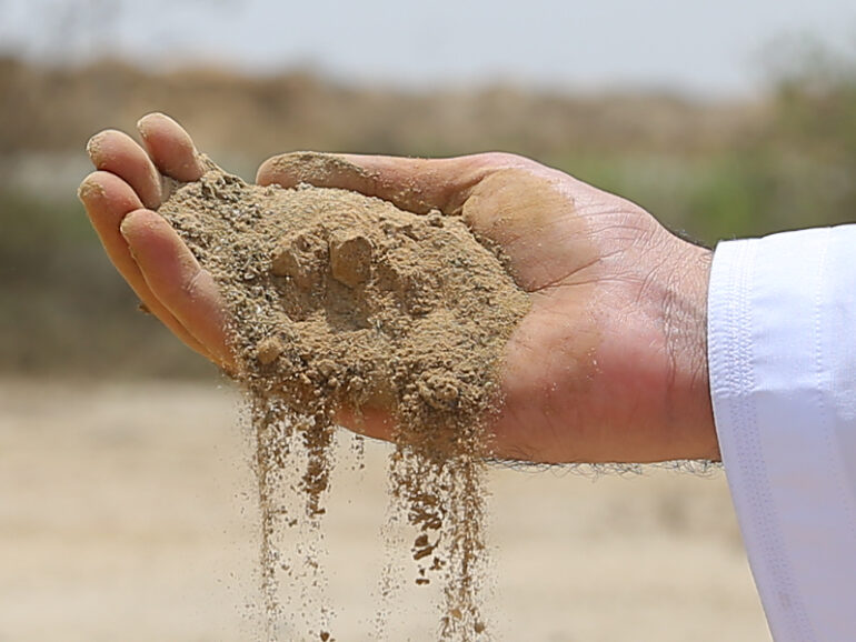 Study offers breakthrough for reclaiming salt-affected farmland