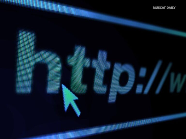 fake CPA website to defraud the public