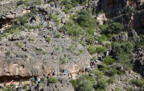 Jabal Akhdar attracts over 222,000 visitors in 2025