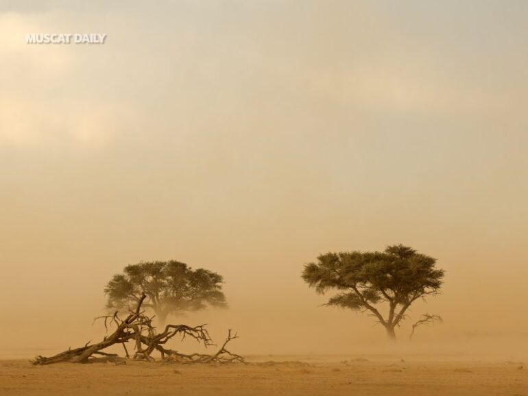 Dust storms and falling temperatures expected across governorates